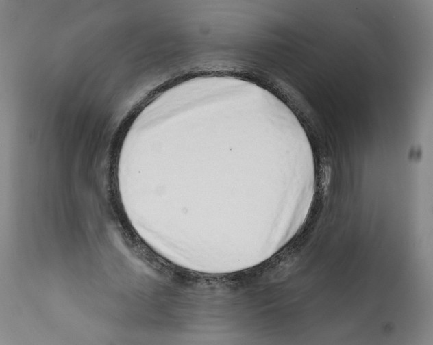 X0000112160627200909181448