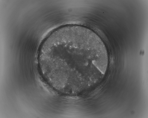 X0000112160628200909181448