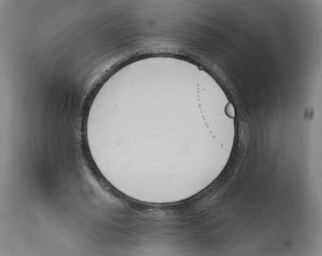X0000112160629200909181448