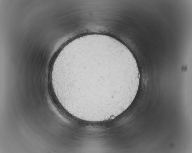 X0000112160630200909181448
