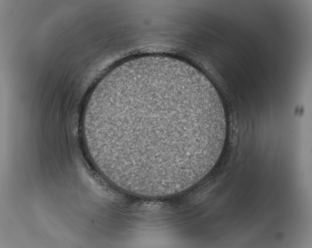 X0000112160631200909181448