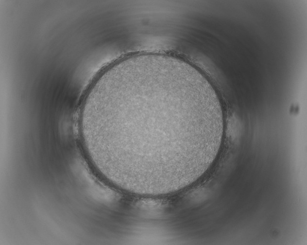 X0000112160632200909181448
