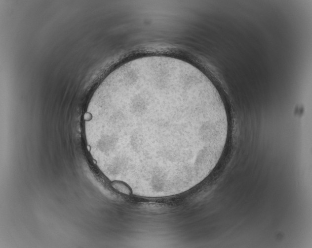 X0000112160633200909181448