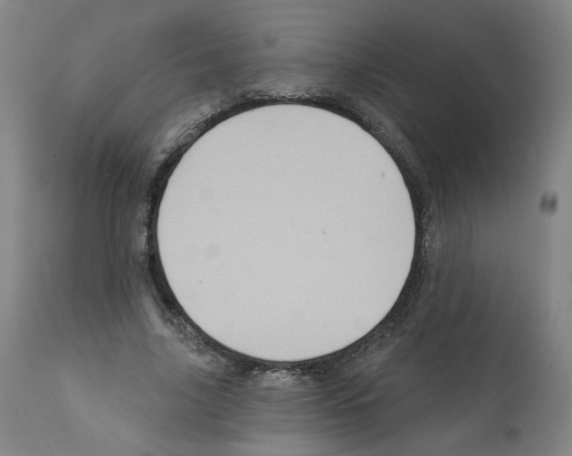 X0000112160635200909181448