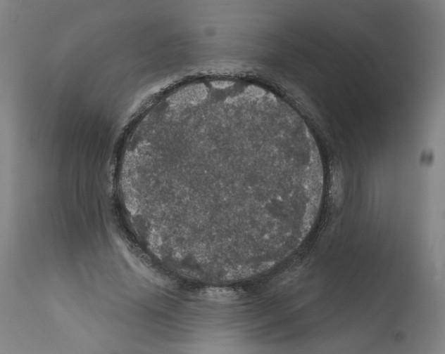 X0000112160636200909181448