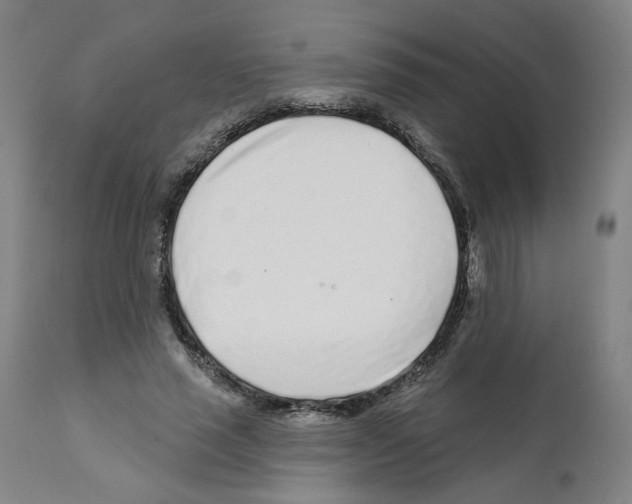 X0000112160637200909181448