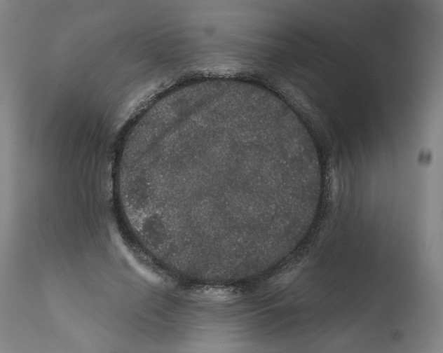 X0000112160638200909181448