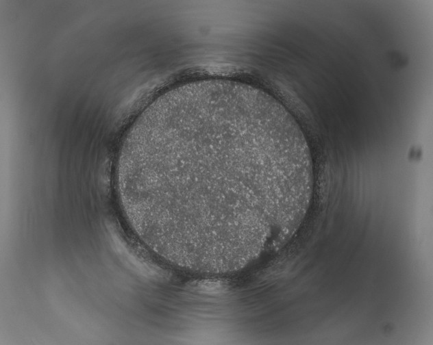 X0000112160639200909181448