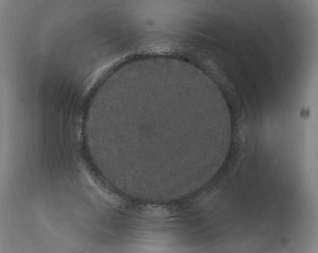 X0000112160640200909181448