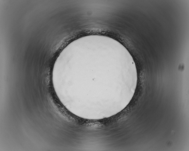 X0000112160642200909181448