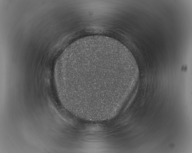 X0000112160643200909181448