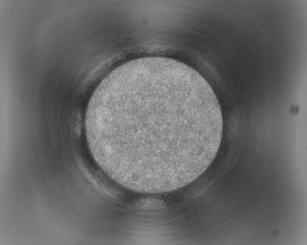 X0000112160644200909181448
