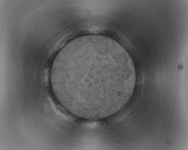 X0000112160646200909181448