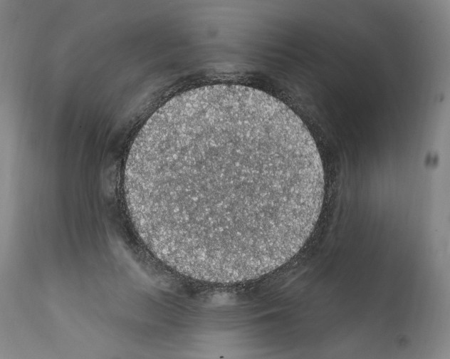 X0000112160647200909181448