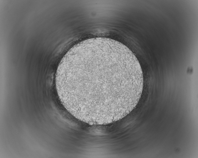 X0000112160652200909181449