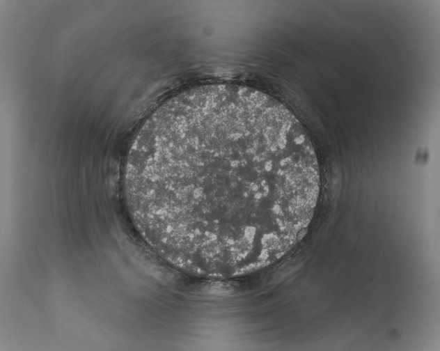 X0000112160656200909181449
