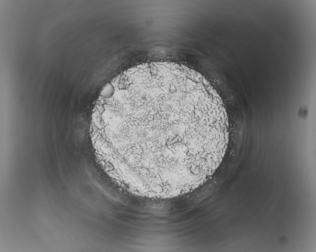 X0000112160659200909181449