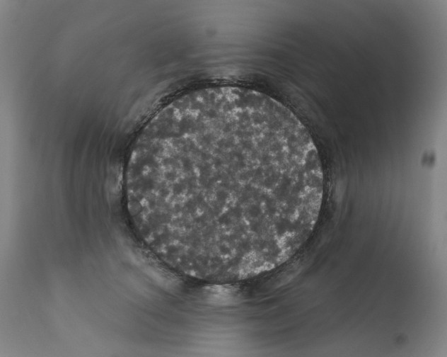 X0000112160660200909181449