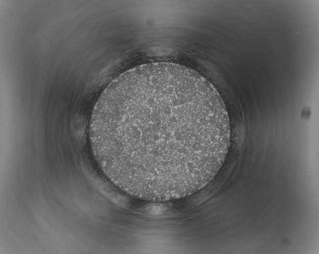 X0000112160662200909181449