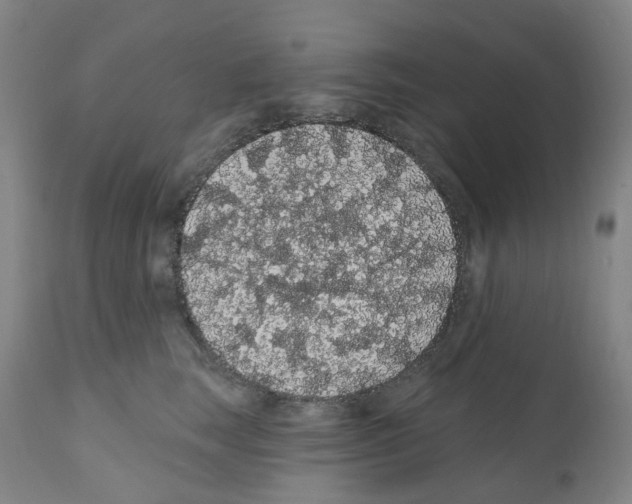 X0000112160663200909181449