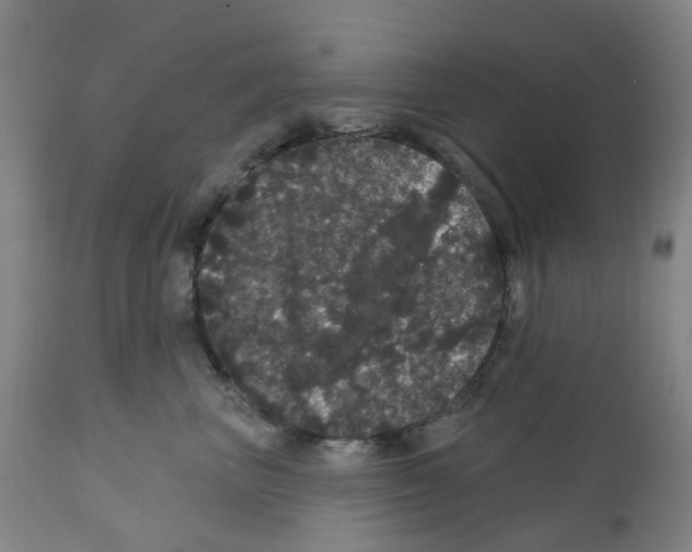 X0000112160667200909181449