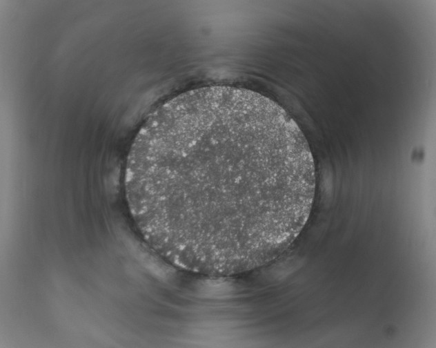 X0000112160668200909181449