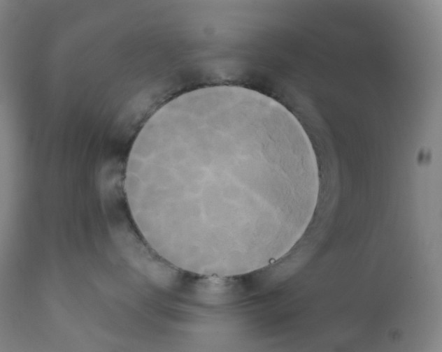 X0000112160672200909181449