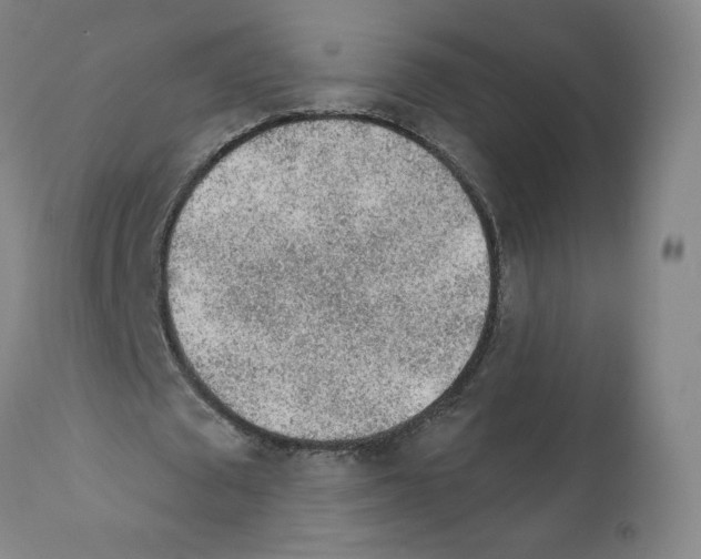 X0000112160673200909181448