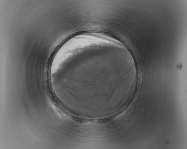 X0000112160674200909181448
