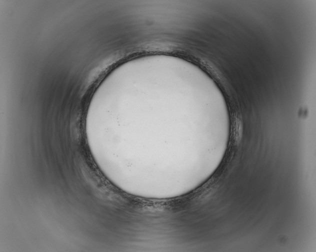 X0000112160675200909181448