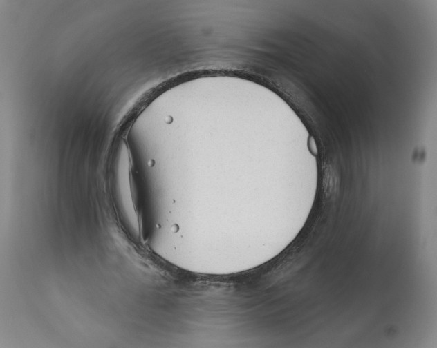 X0000112160676200909181448