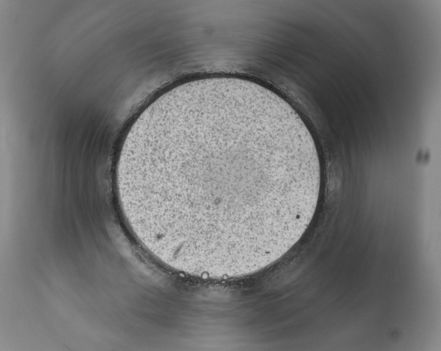 X0000112160677200909181448