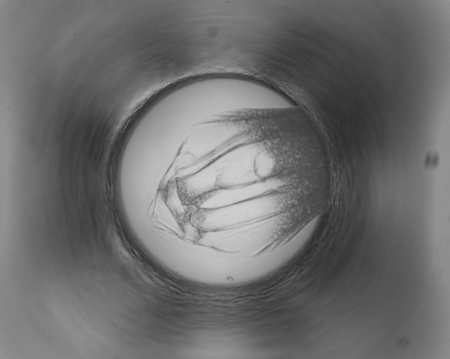 X0000112160680200909181448