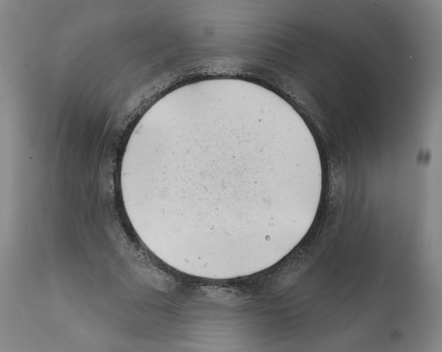 X0000112160681200909181448