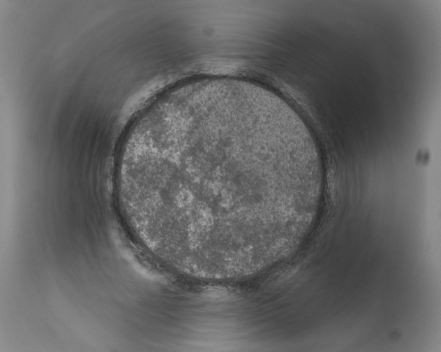 X0000112160682200909181448