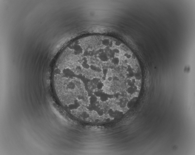 X0000112160683200909181448