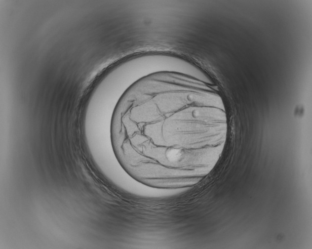 X0000112160684200909181448