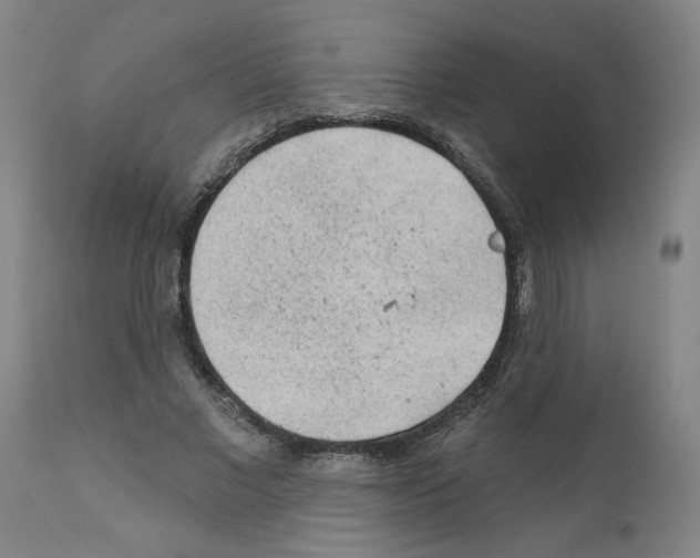 X0000112160685200909181448