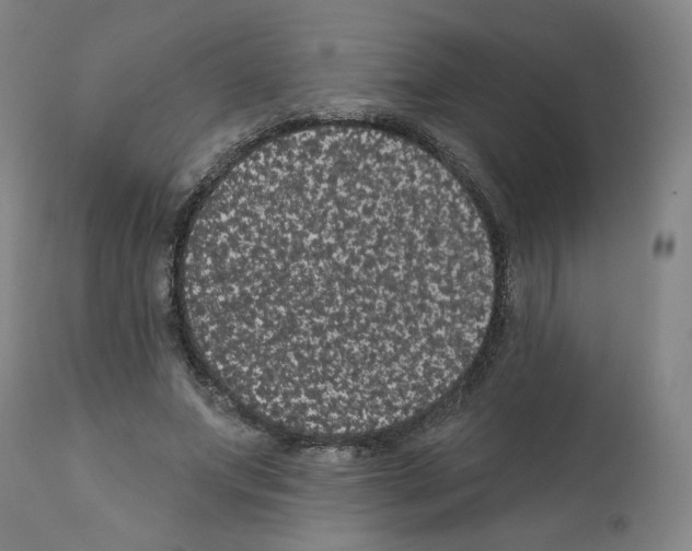 X0000112160687200909181448