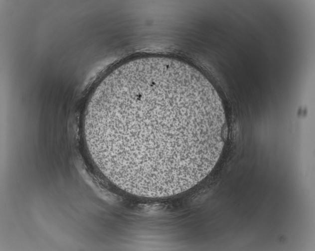 X0000112160688200909181448