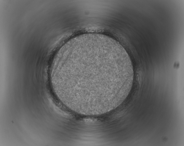 X0000112160690200909181448