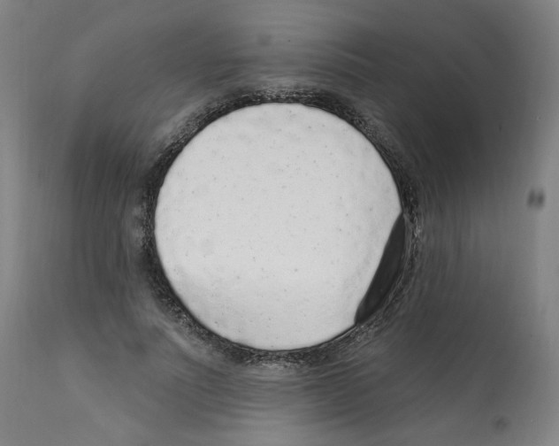 X0000112160691200909181448