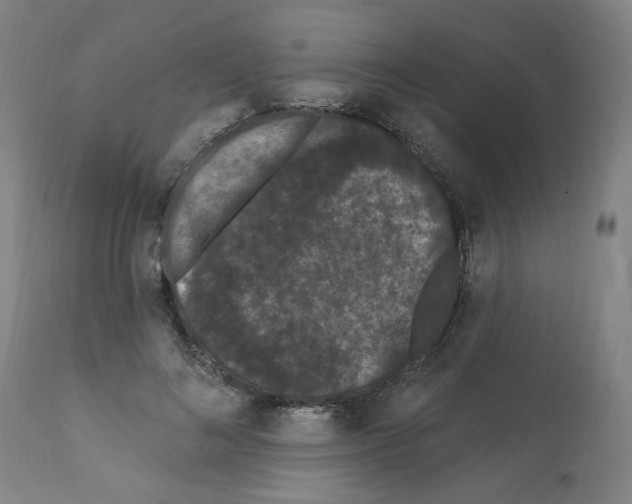 X0000112160692200909181448