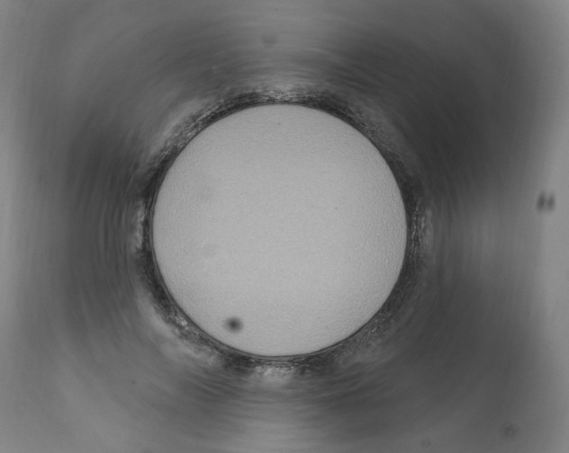 X0000112160694200909181448