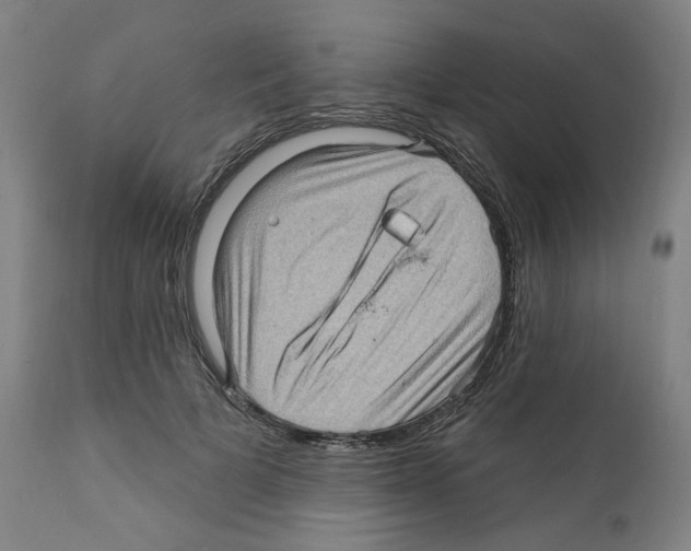X0000112160697200909181448