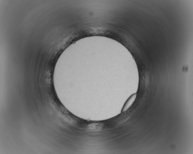 X0000112160700200909181448