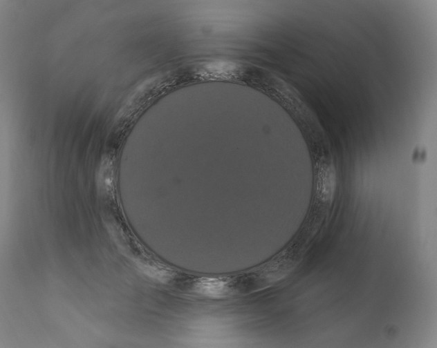 X0000112160701200909181448