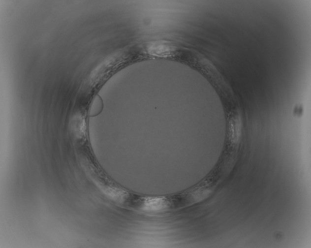 X0000112160705200909181448
