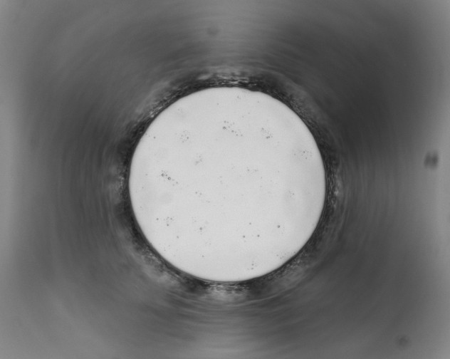 X0000112160707200909181448