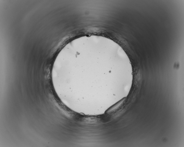 X0000112160708200909181448